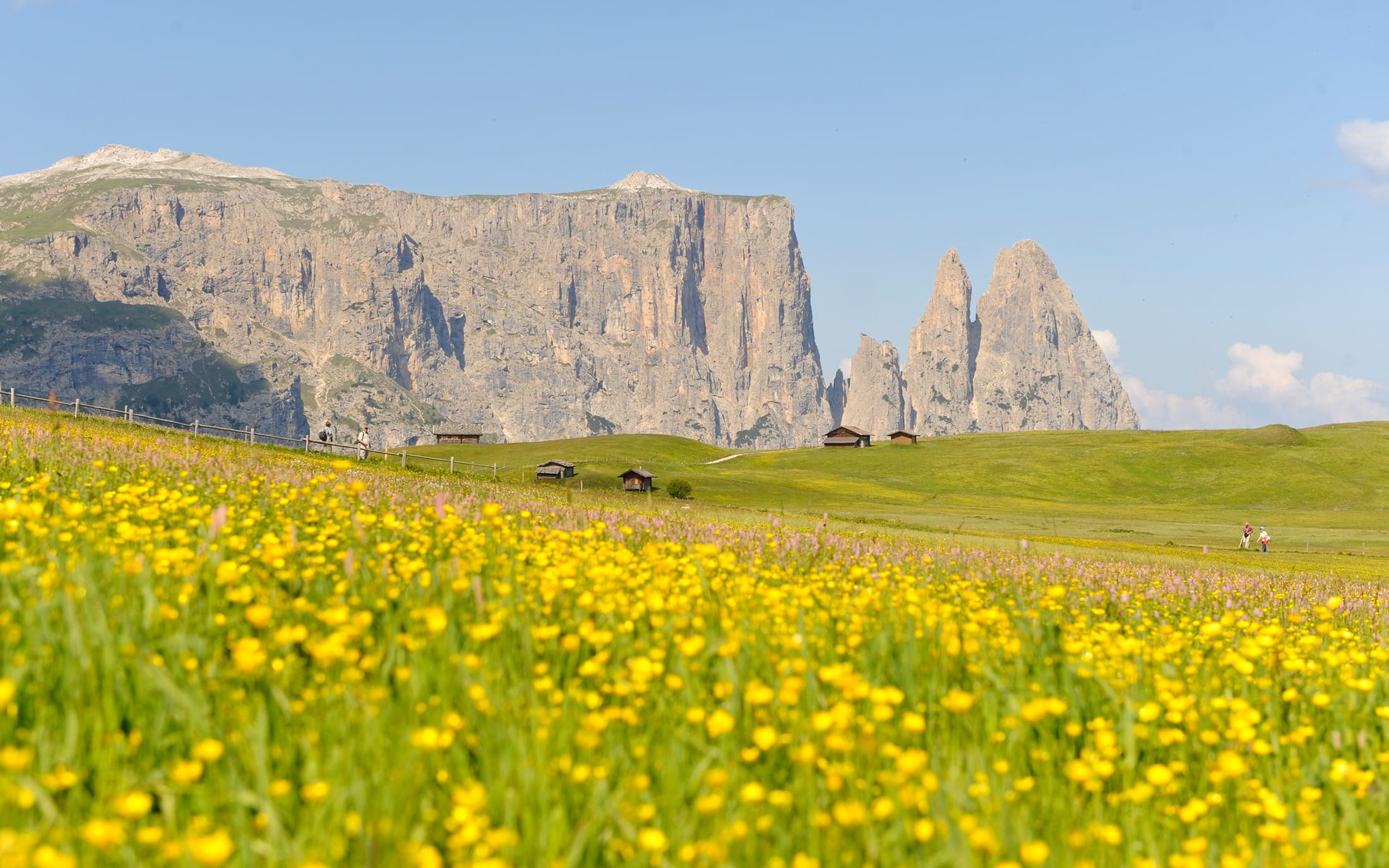 Foreserhof | Sommerurlaub auf der Seiser Alm